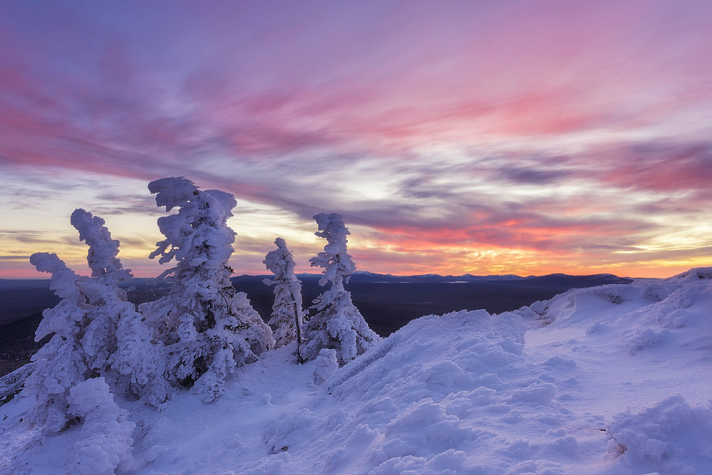 Картинка 47 400 ₽ за пост в «ВКонтакте»